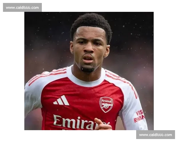 榜首阿森纳,枪迷为何 “没那么热”? 榜首阿森纳,枪迷为何 “没那么热”?